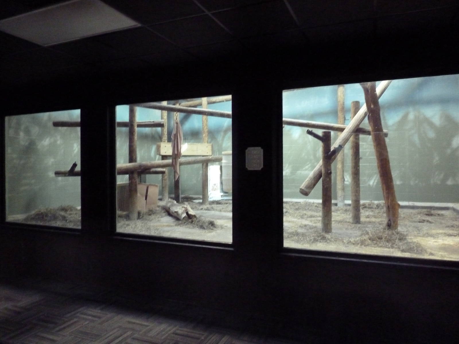 Orangutan Indoor Exhibit