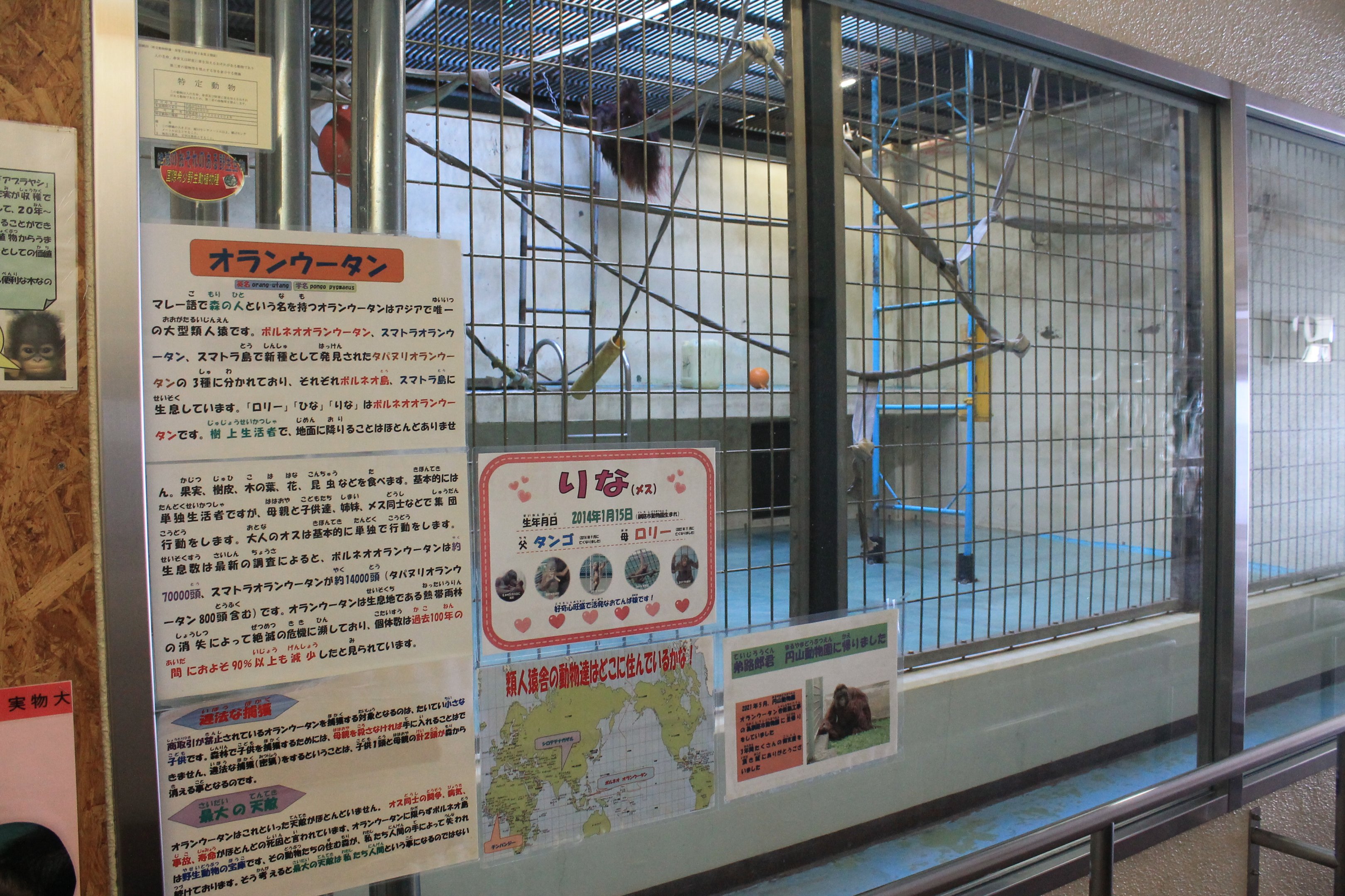 Orangutan indoor quarters, Kushiro Zoo