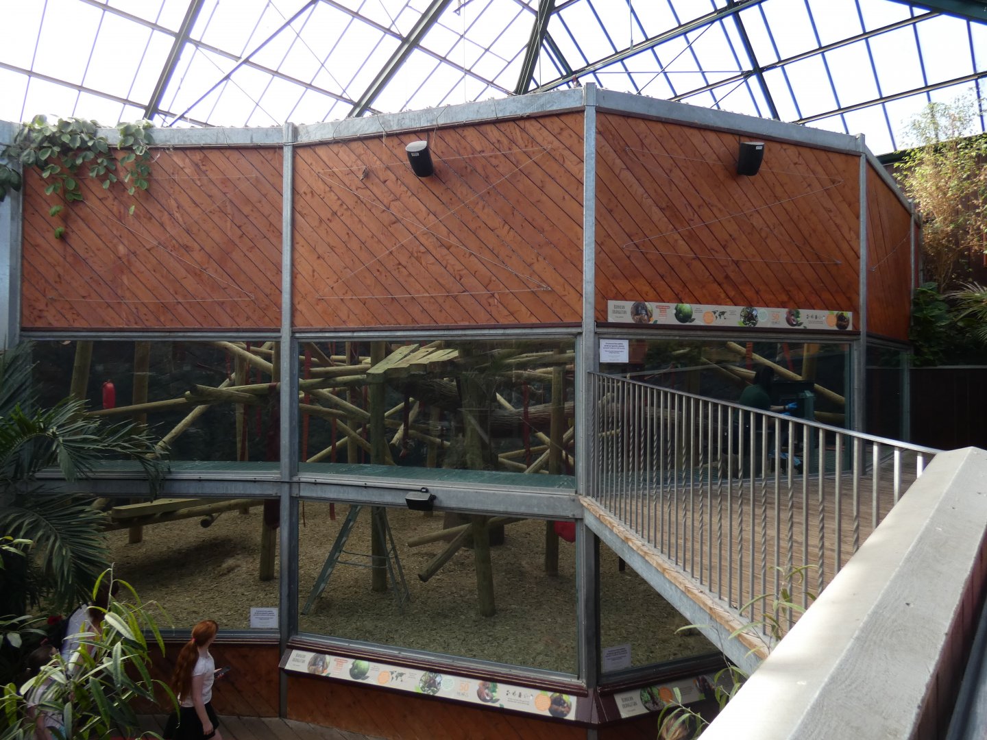 Orangutan indoor viewing area