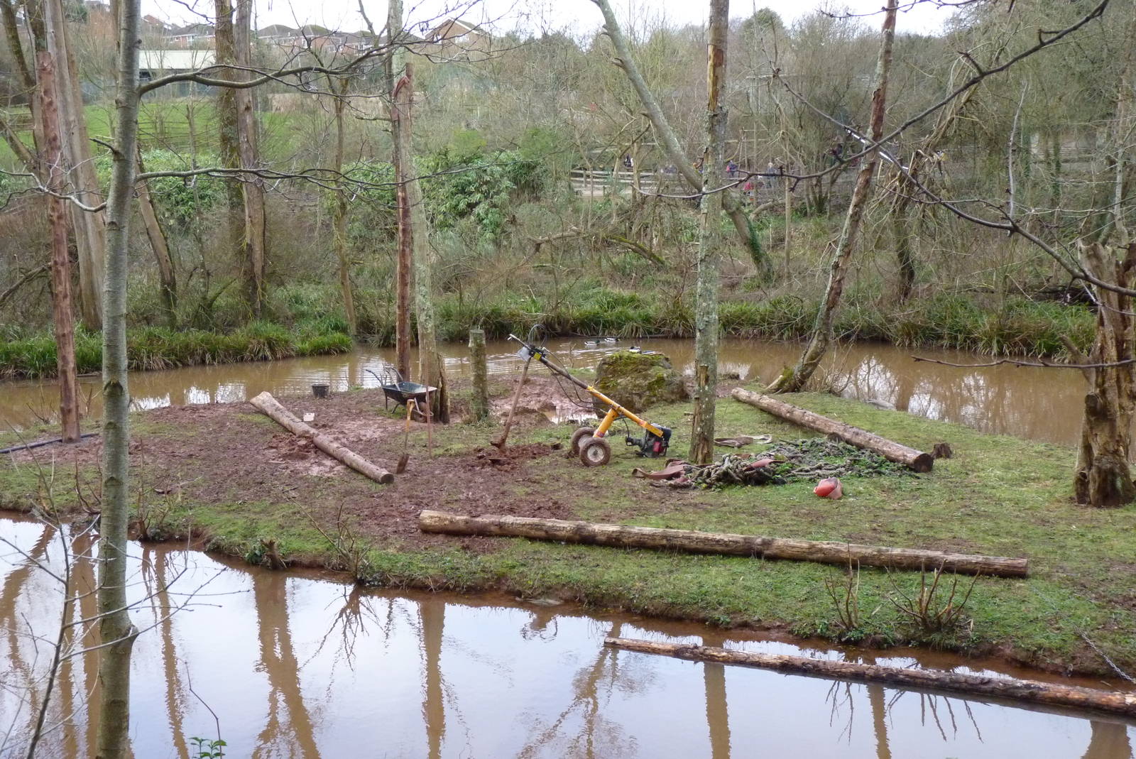 Orangutan Island, 19 February 2014