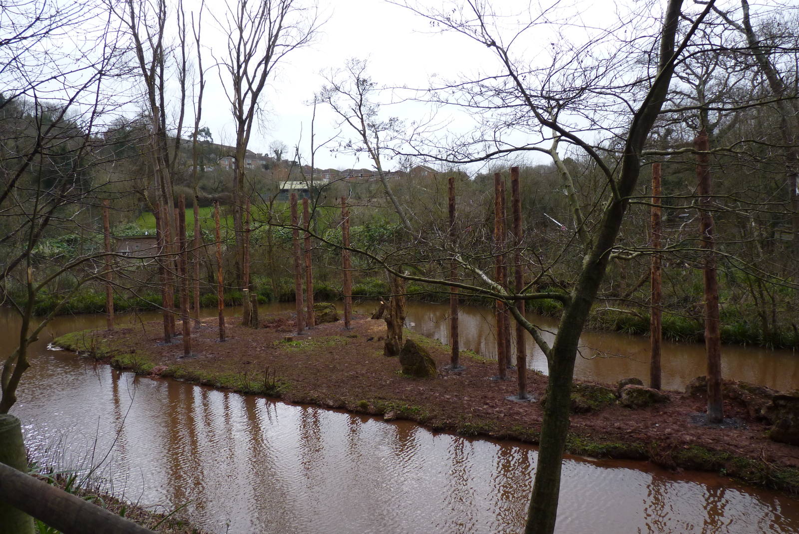 Orangutan Island, 23 February 2014