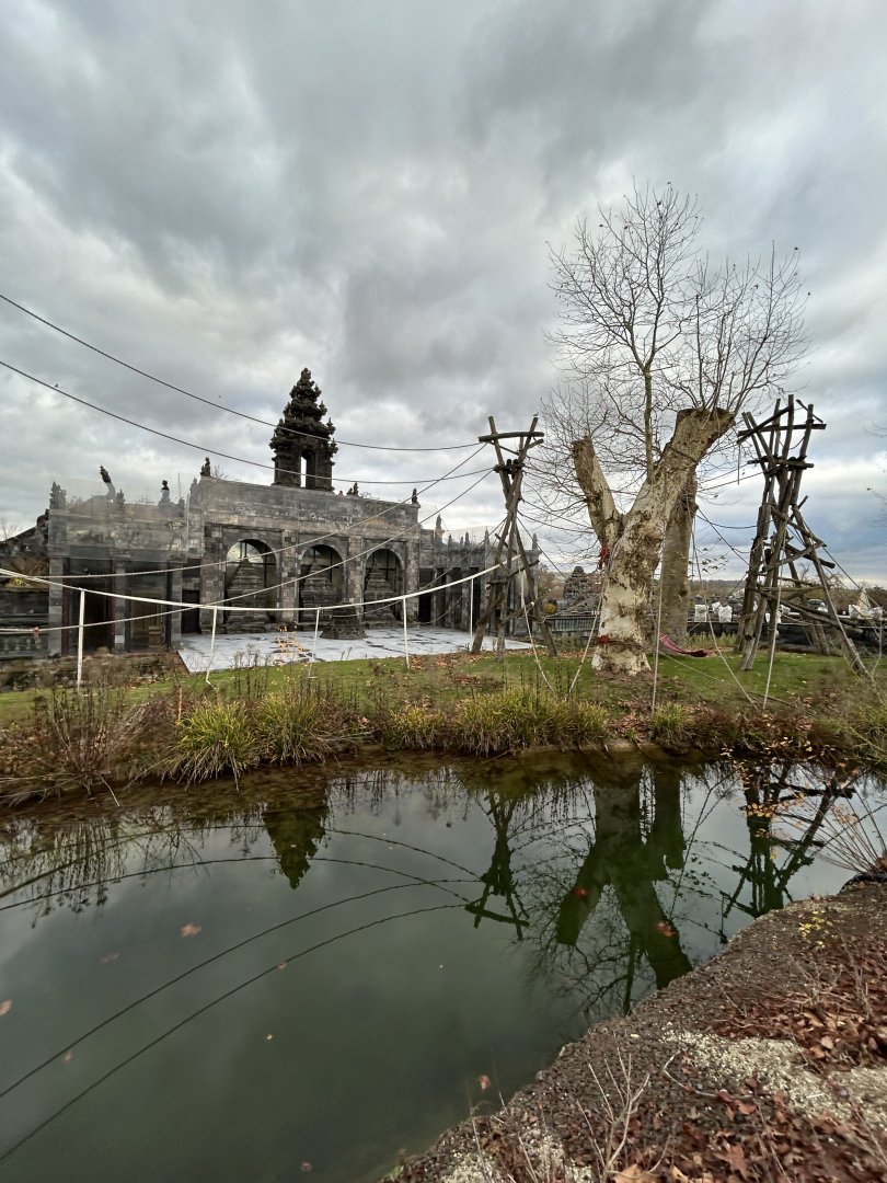 Orangutan island at the flower temple