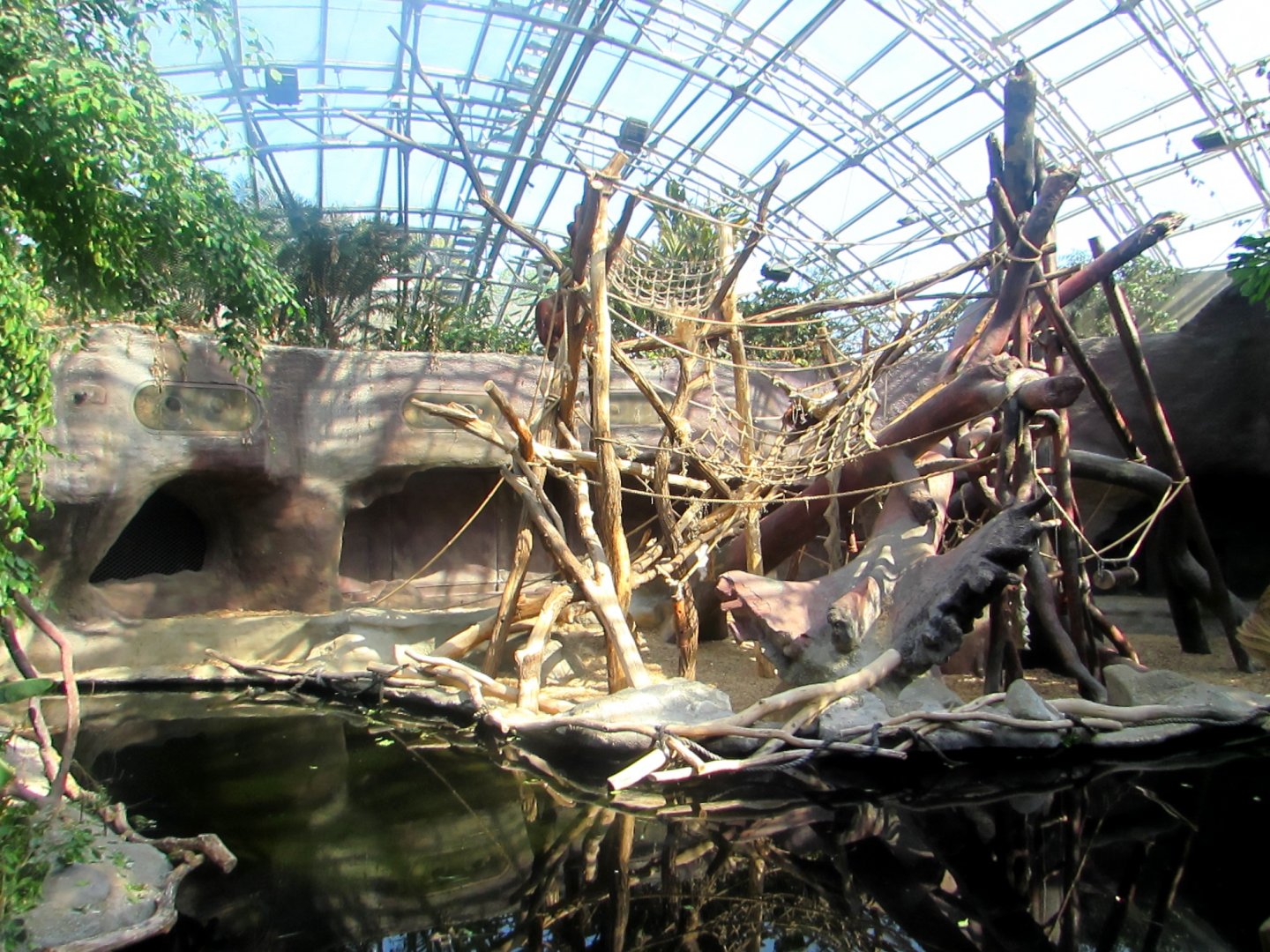 Orangutan Island/Indonesian Jungle Pavilion - July/2017