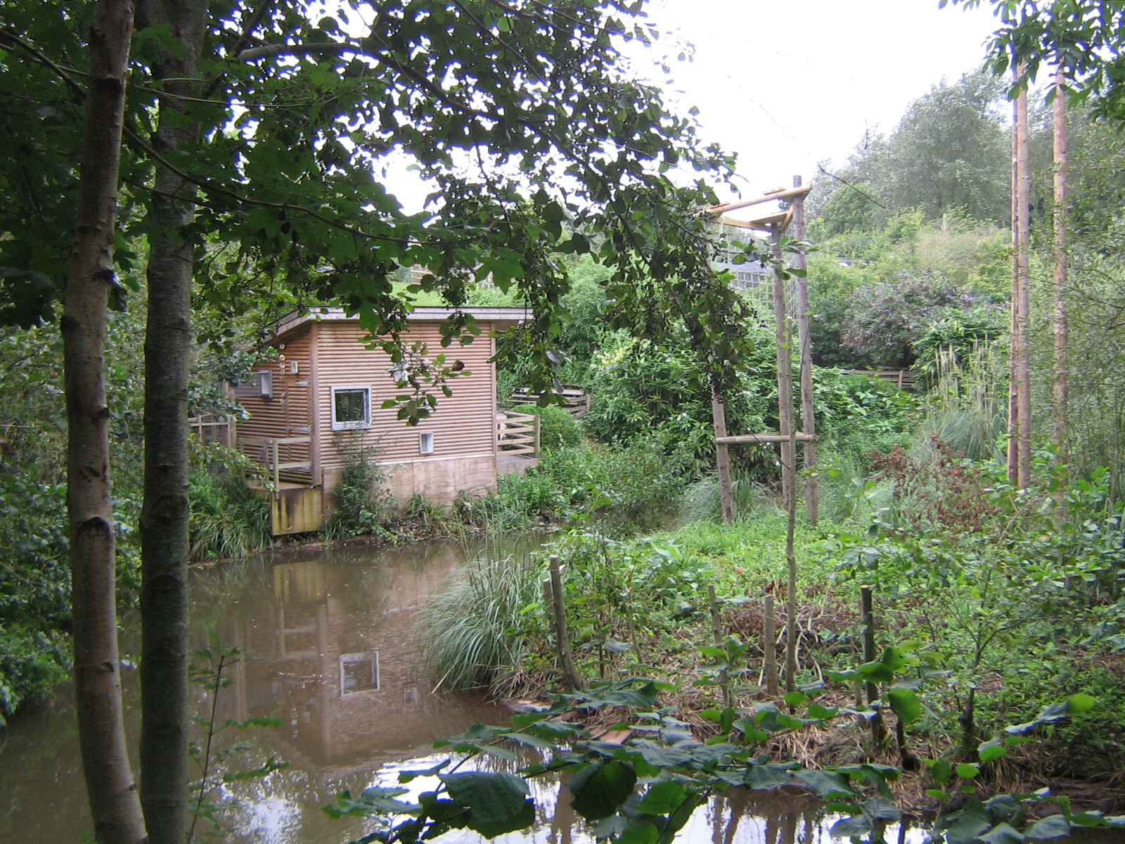 Orangutan Island & Lemur Wood