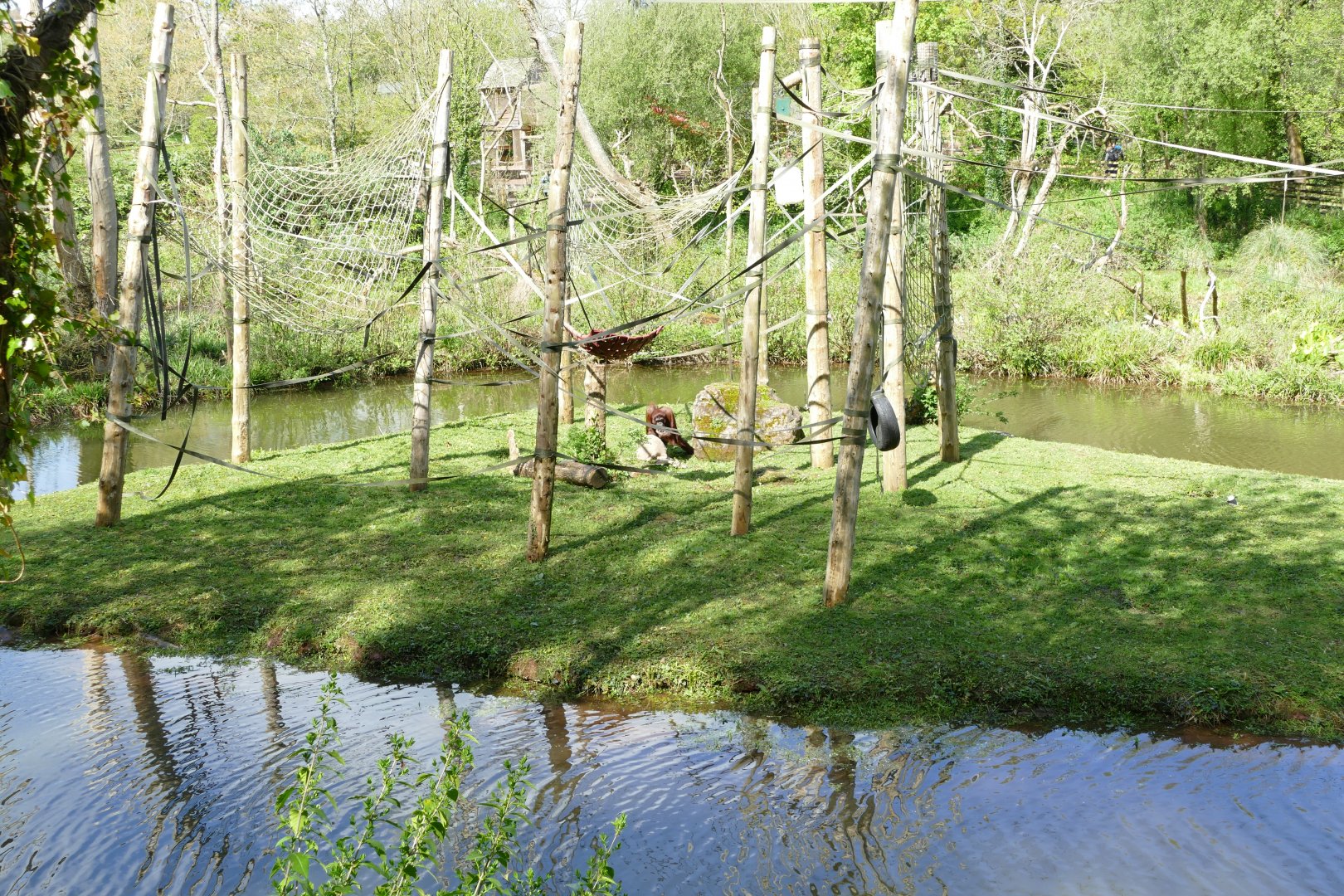 Orangutan Island, May 2018