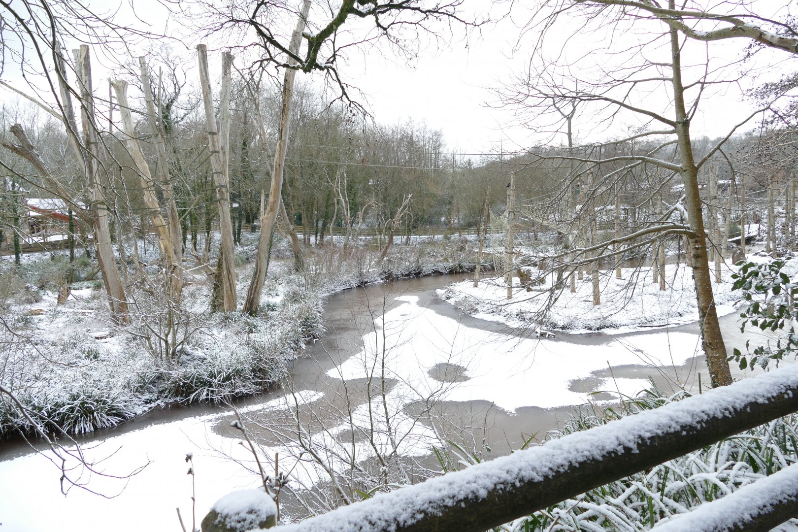 Orangutan islands, 28 February 2018