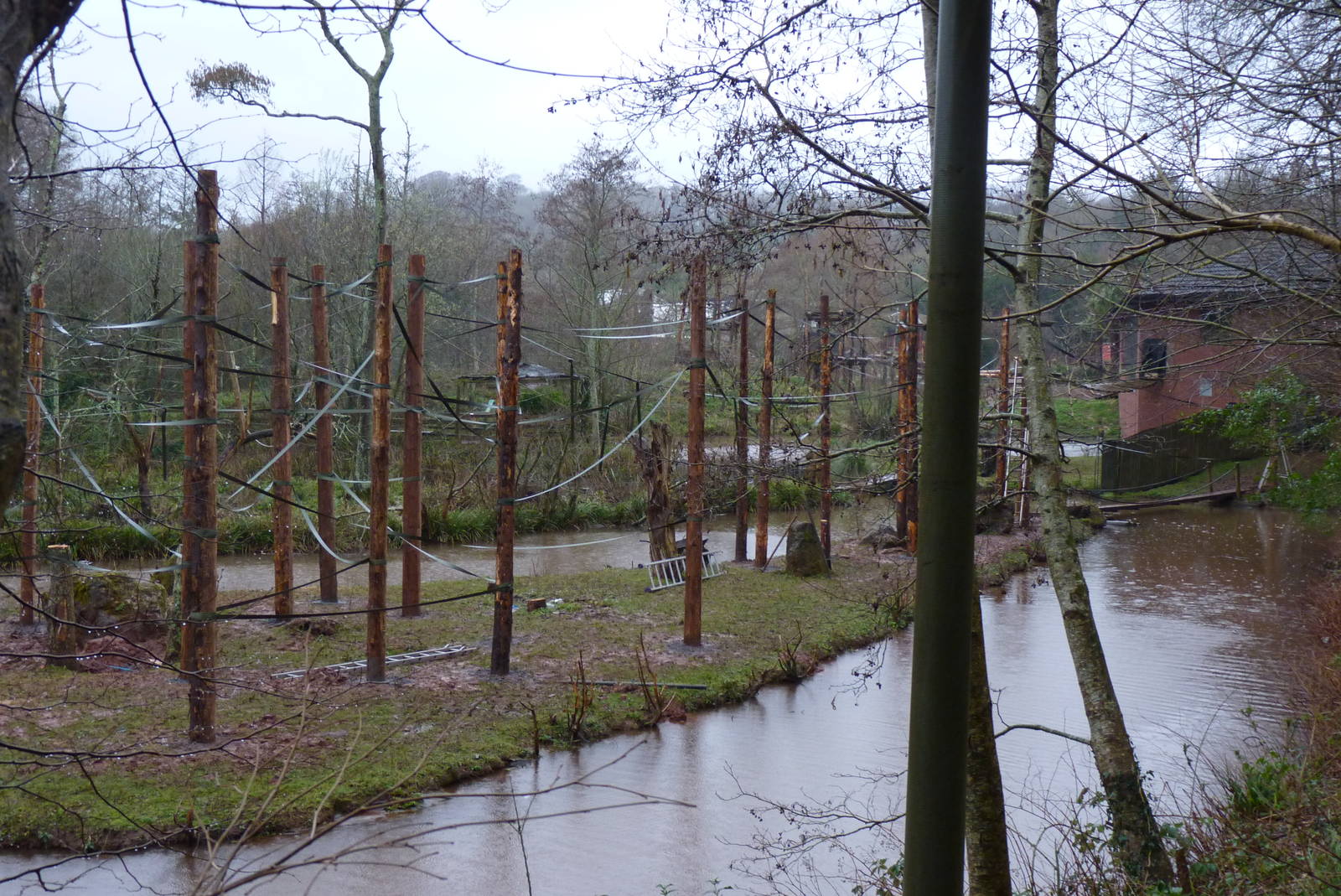 Orangutan Islands update, 2 March 2014