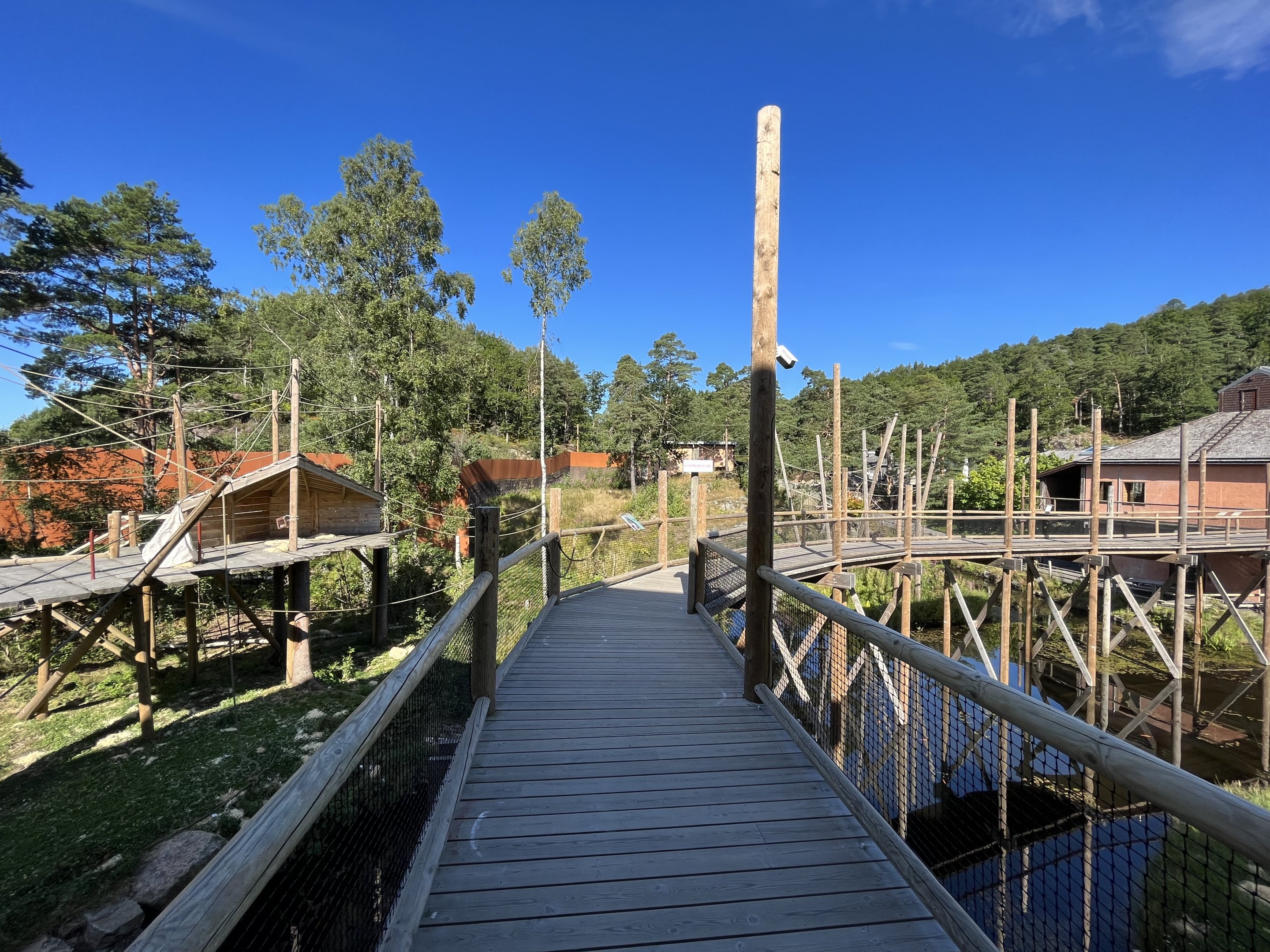 Orangutan/Langur Exhibits