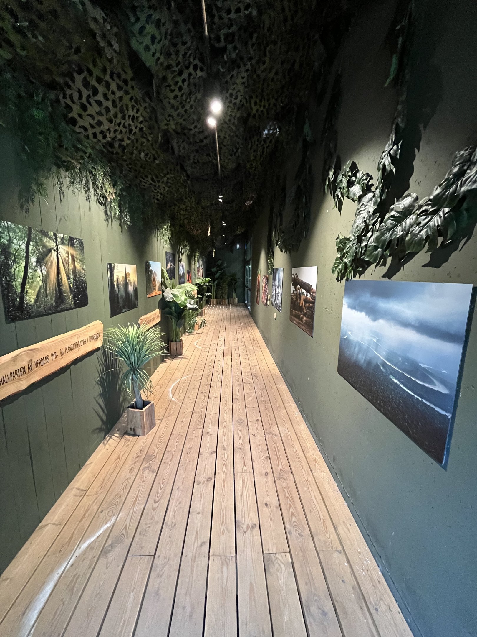 Orangutan/Langur House