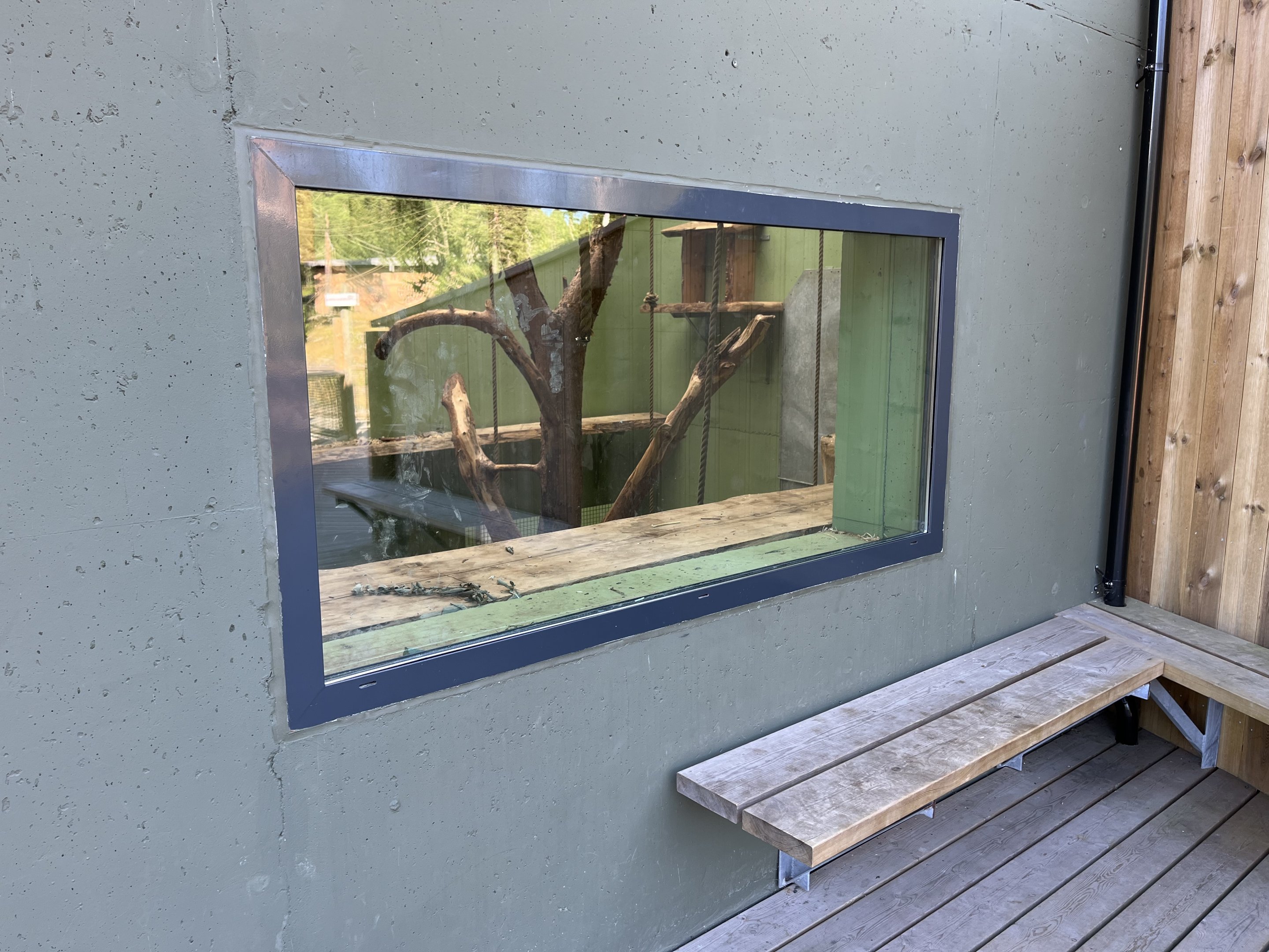 Orangutan/Langur House