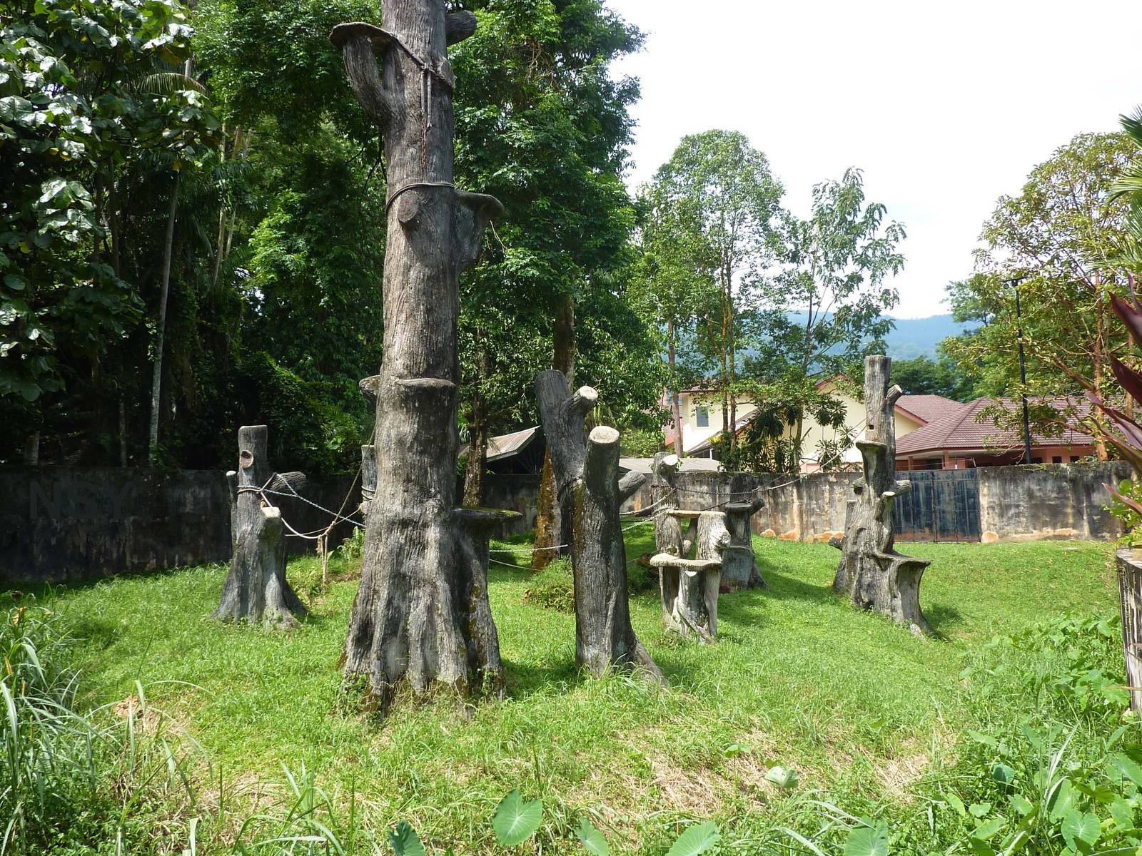 Orangutan/Leopard cat enclosure, May 2013