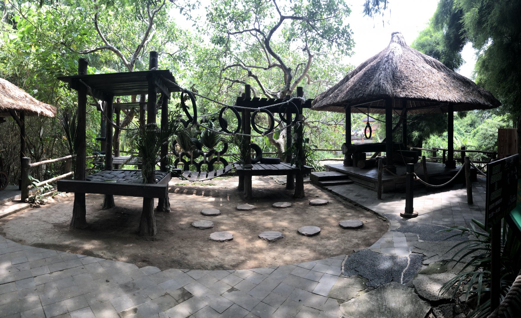 Orangutan Meet & Greet