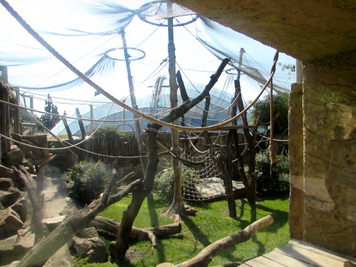 Orangutan outdoor enclosure and roof of the Indonesin Jungle Pavilion - July/2017
