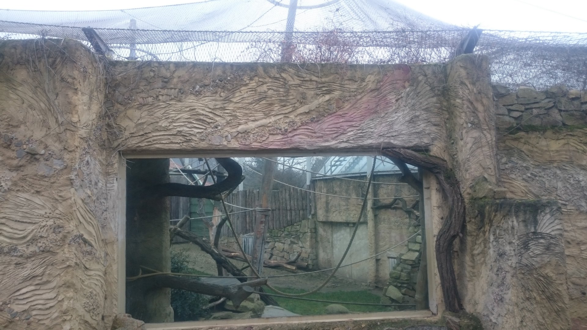 Orangutan Outdoor-enclosure