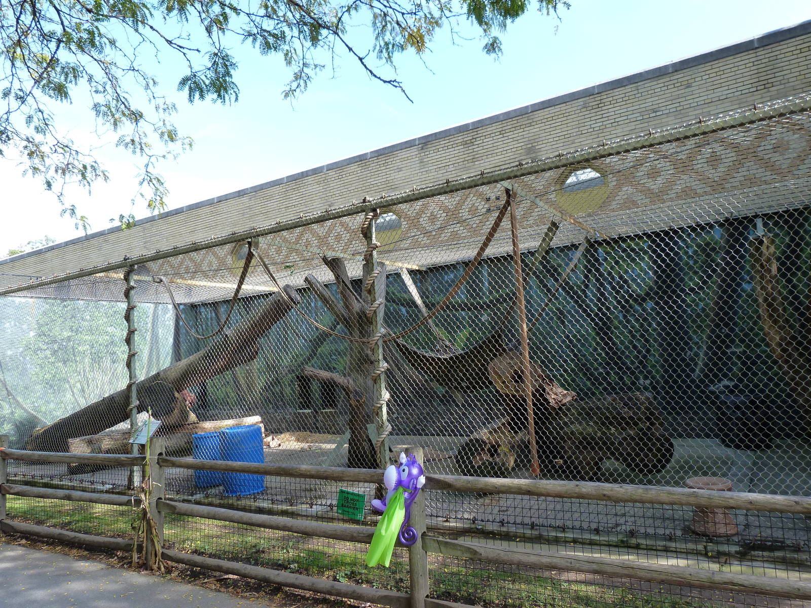 Orangutan Outdoor Exhibit