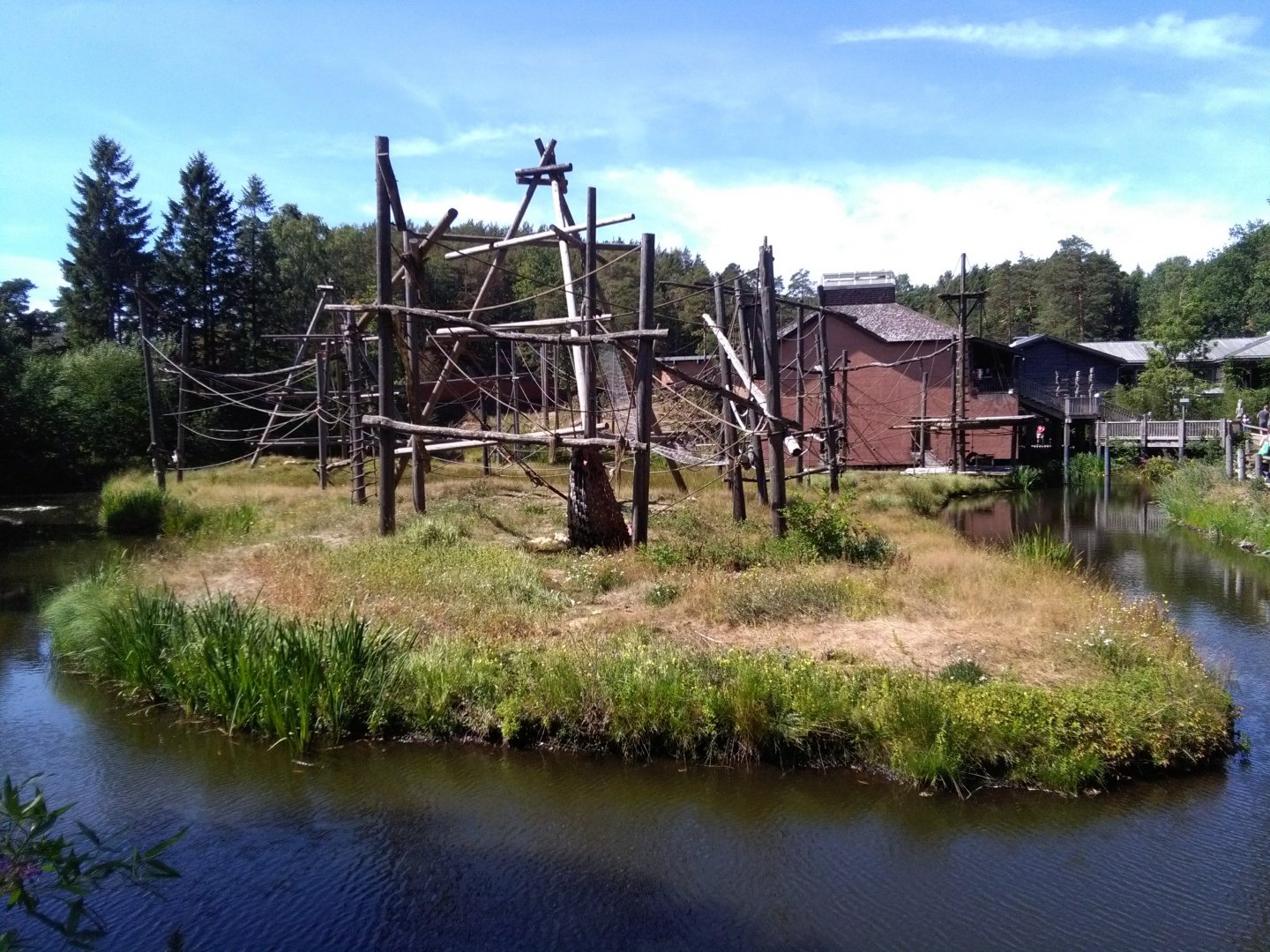 Orangutan outdoor exhibit