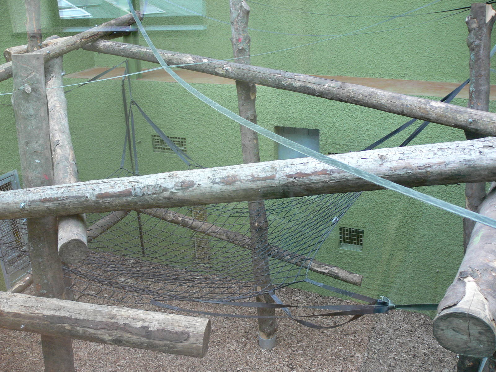 Orangutan Outlook at Blackpool Zoo, 16/08/14