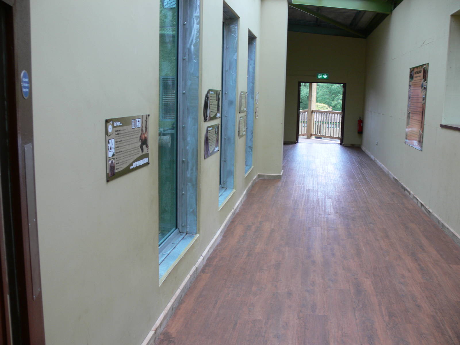 Orangutan Outlook at Blackpool Zoo, 16/08/14