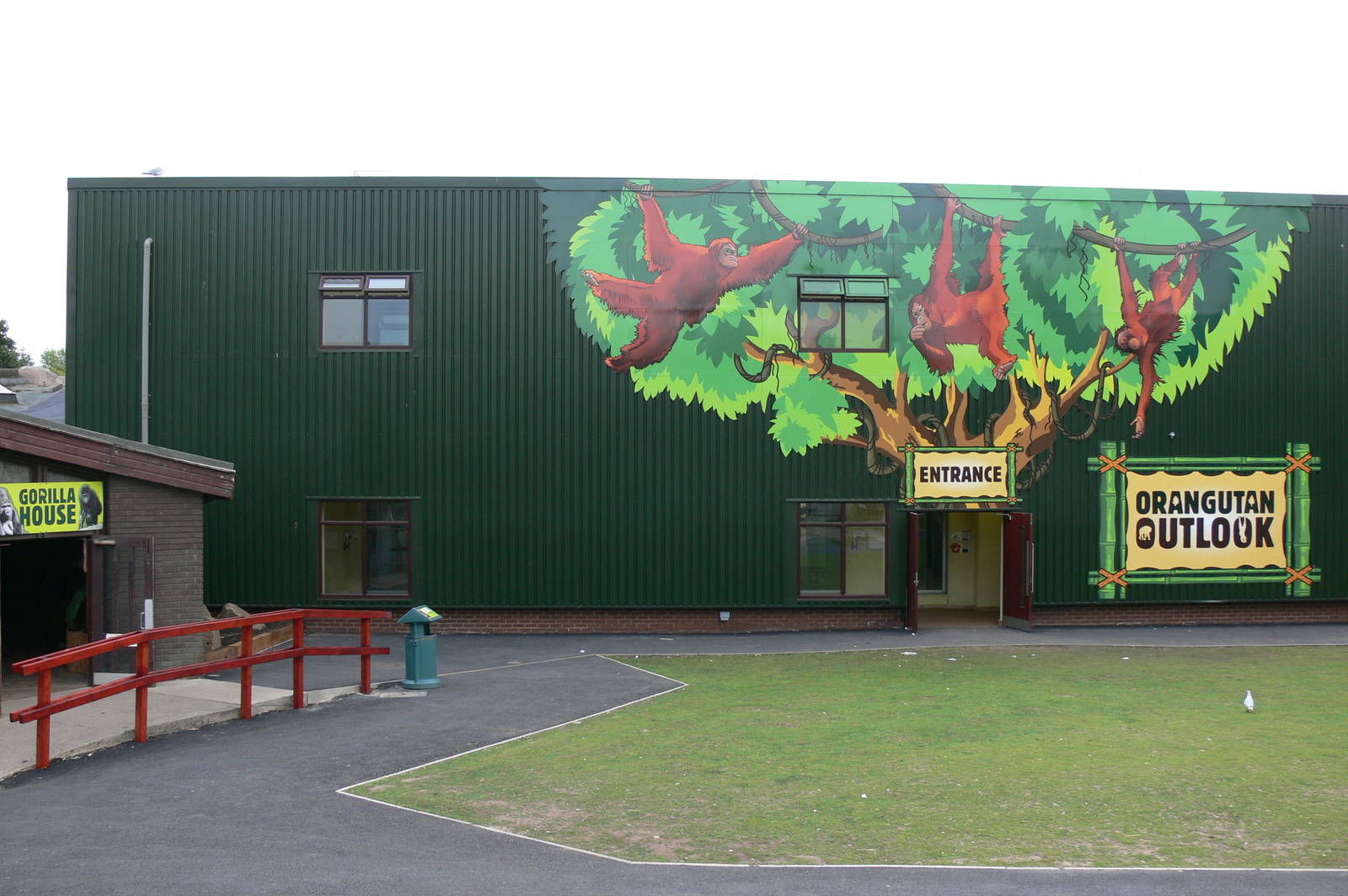 Orangutan Outlook at Blackpool Zoo, 16/08/14
