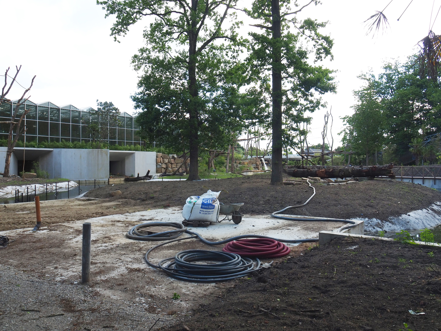 Orangutan project construction, Fifth island, not connected to the Asian greenhouse, 2022-05-28