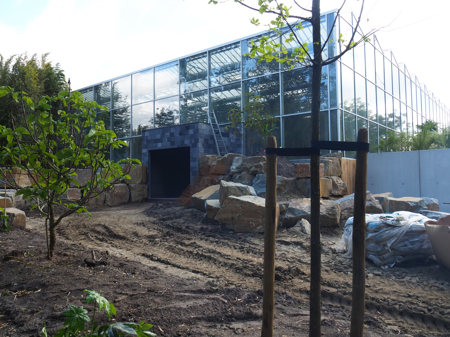 Orangutan project construction, Members preview - Future entrance area, 2022-05-28