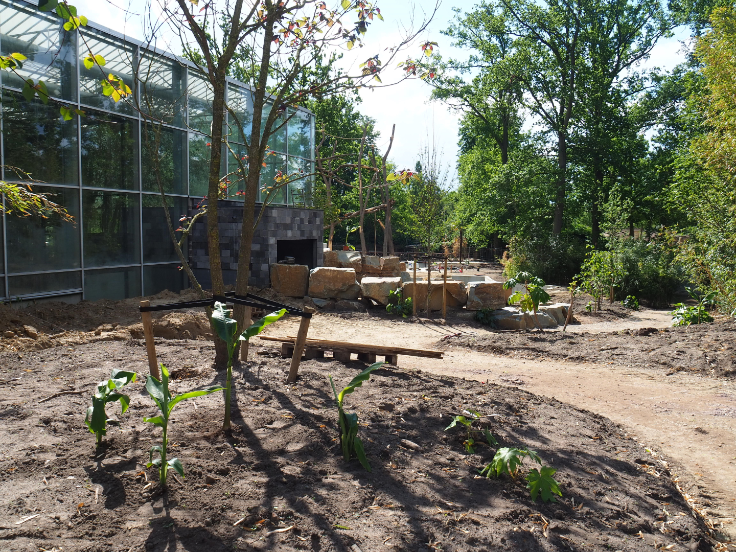 Orangutan project construction, Members preview - Future entrance area, 2022-05-28