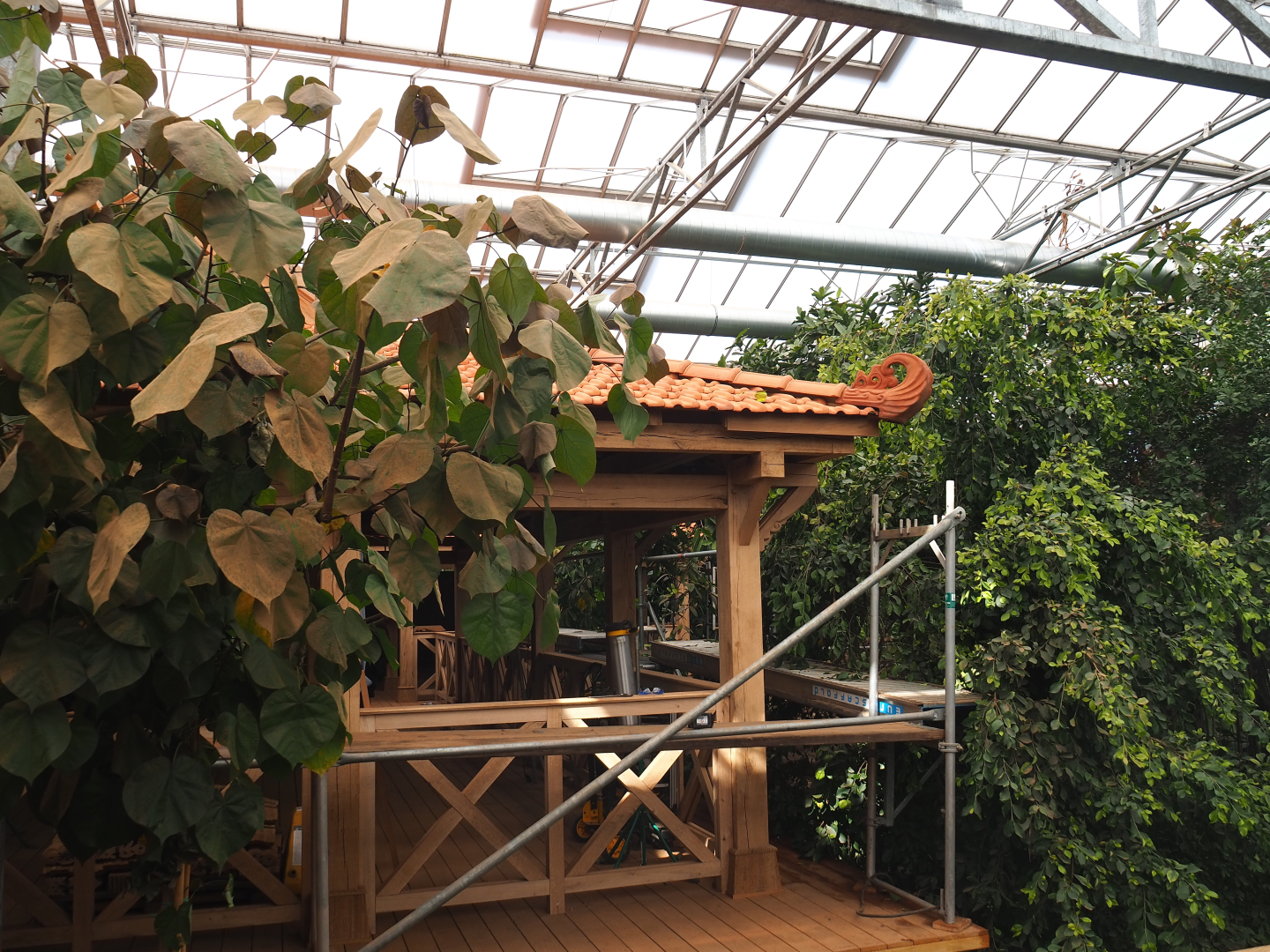 Orangutan project construction, Members preview - Future viewing area, 2022-05-28