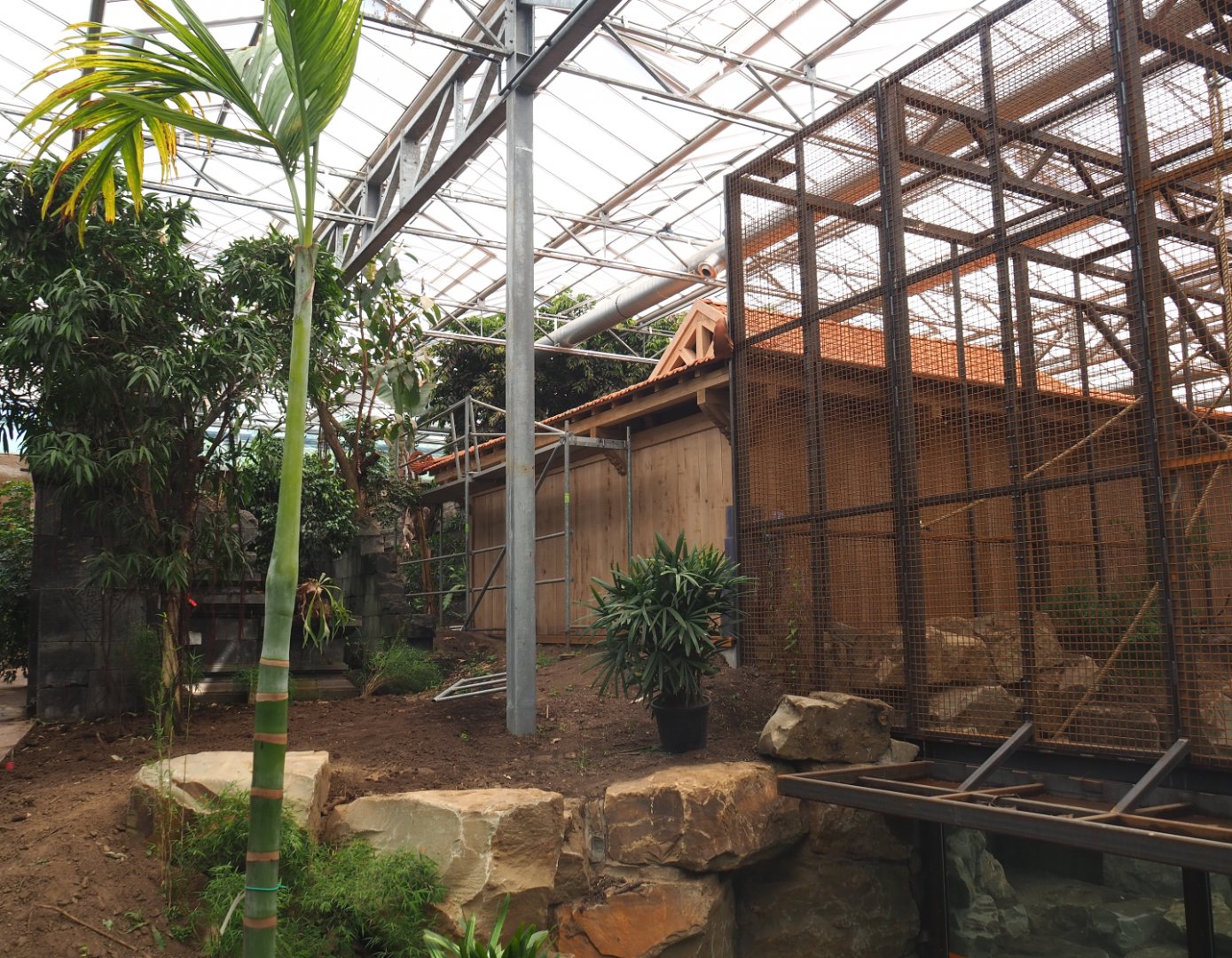 Orangutan project construction, Members preview - Future viewing area and part of second large indoor exhibit, 2022-05-28