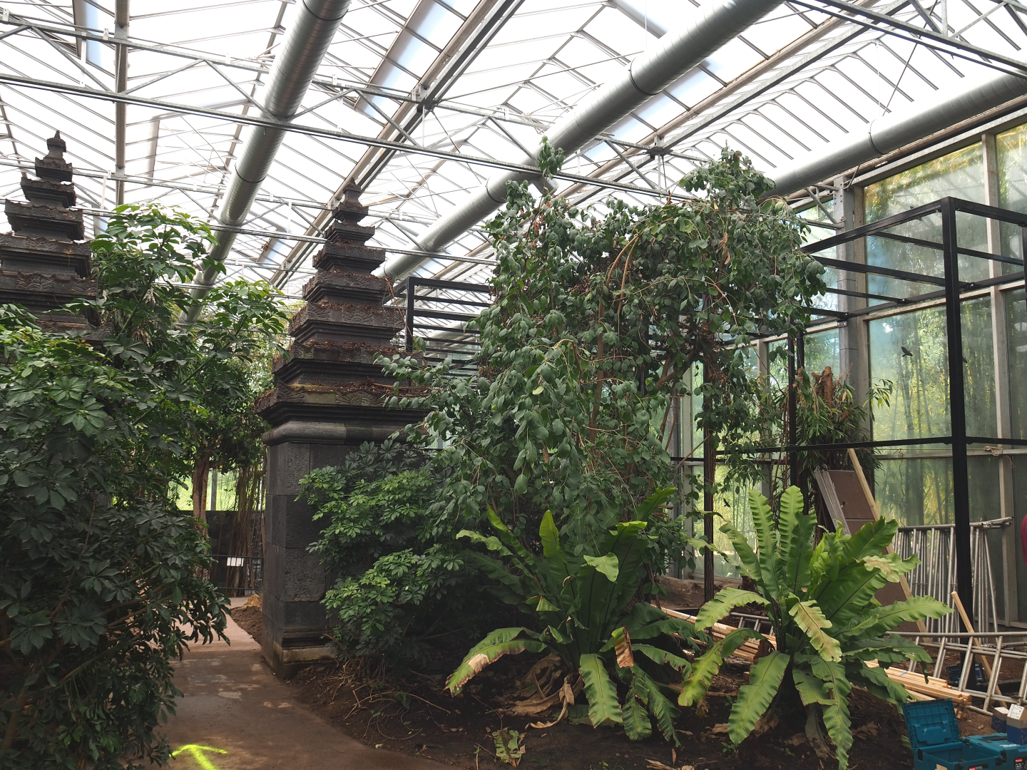 Orangutan project construction, Members preview - Retained temple, walkway and future aviary, 2022-05-28