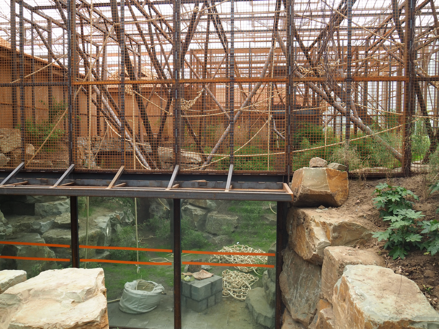 Orangutan project construction, Members preview - Second large indoor exhibit, 2022-05-28