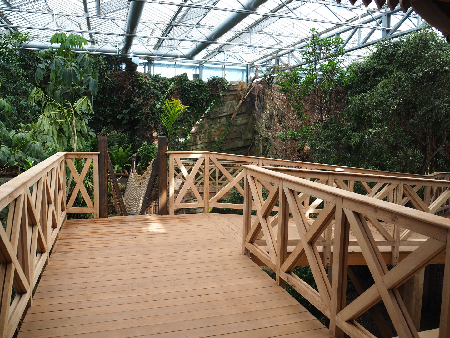 Orangutan project construction, Members preview - Walkways, 2022-05-28