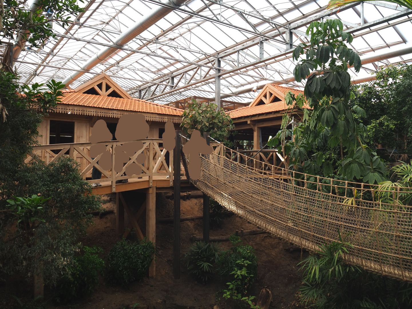 Orangutan project construction, Members preview - Walkways and future viewing areas, 2022-05-28