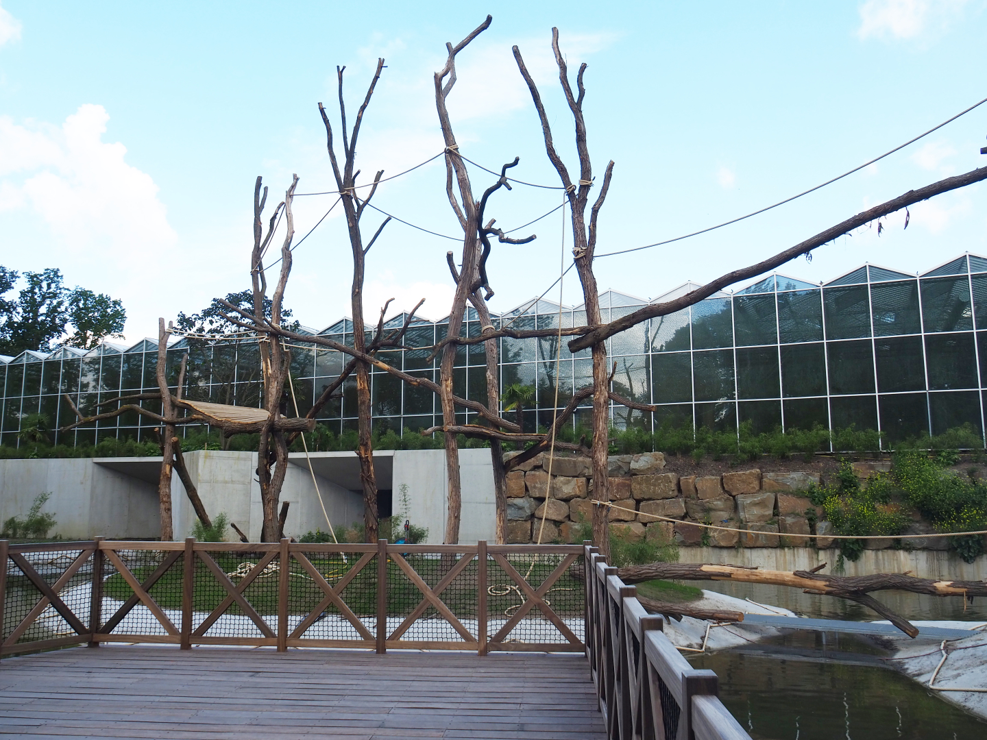 Orangutan project construction, Second smaller island and visitor area, 2022-05-28