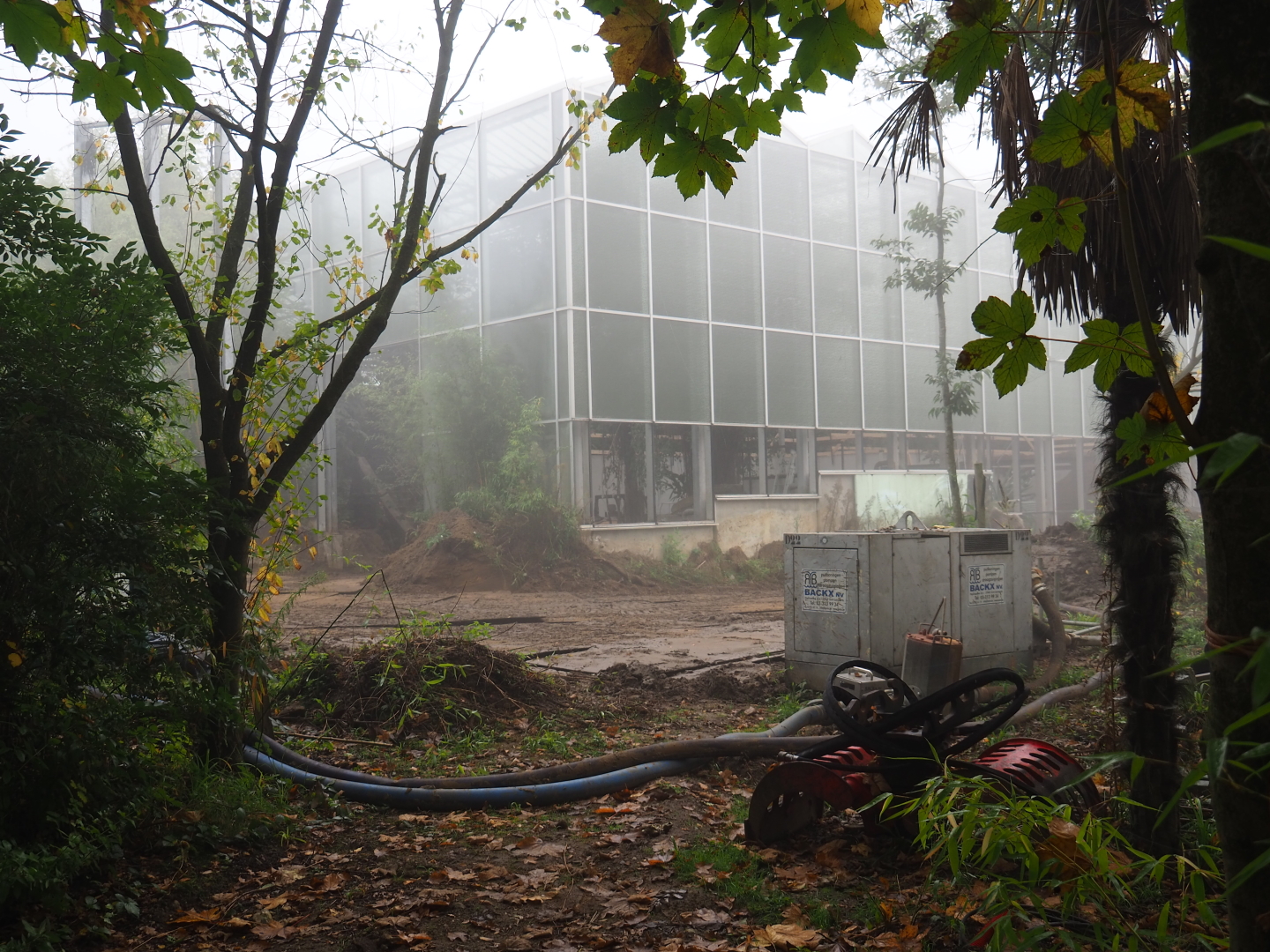 Orangutan project construction site in and around the Asian greenhouse, 2021-10-10