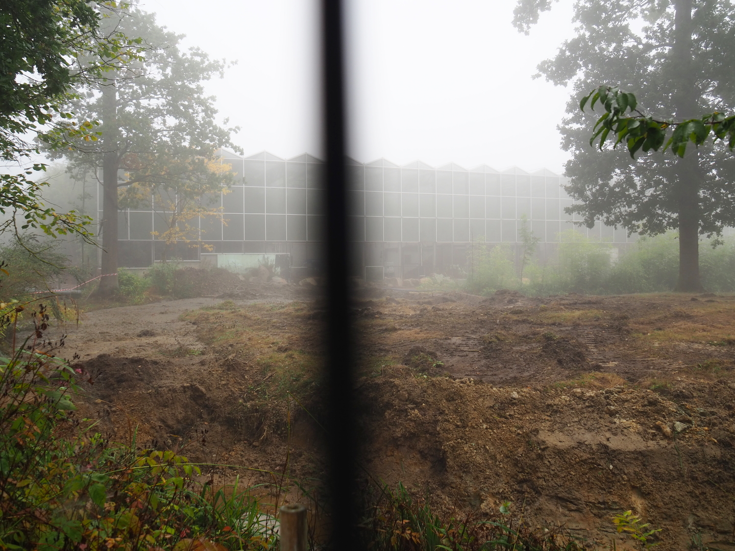 Orangutan project construction site in and around the Asian greenhouse, 2021-10-10