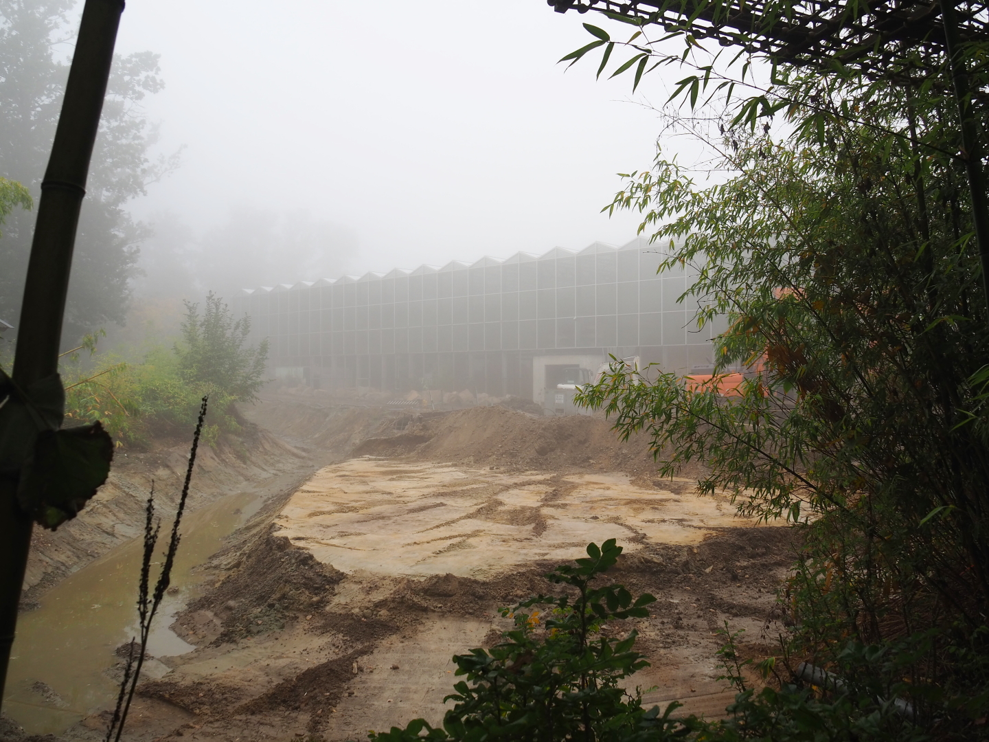 Orangutan project construction site in and around the Asian greenhouse, 2021-10-10