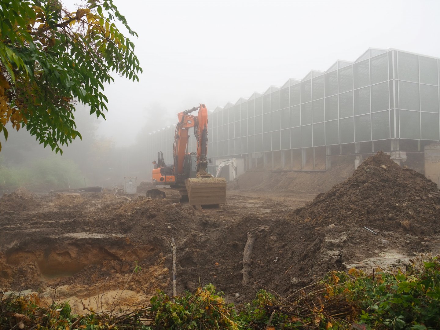 Orangutan project construction site in and around the Asian greenhouse, 2021-10-10