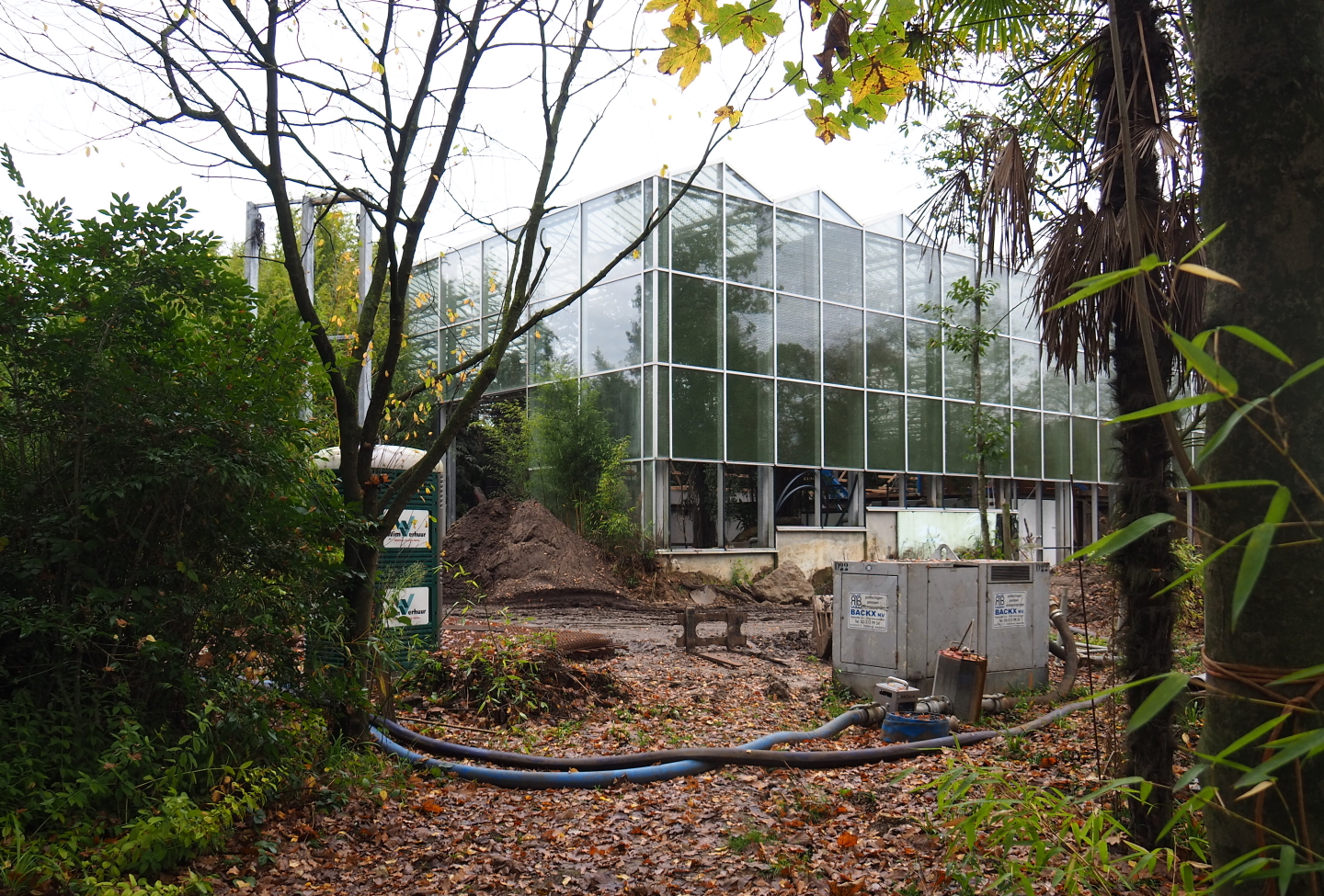 Orangutan project construction site in and around the Asian greenhouse, 2021-11-06