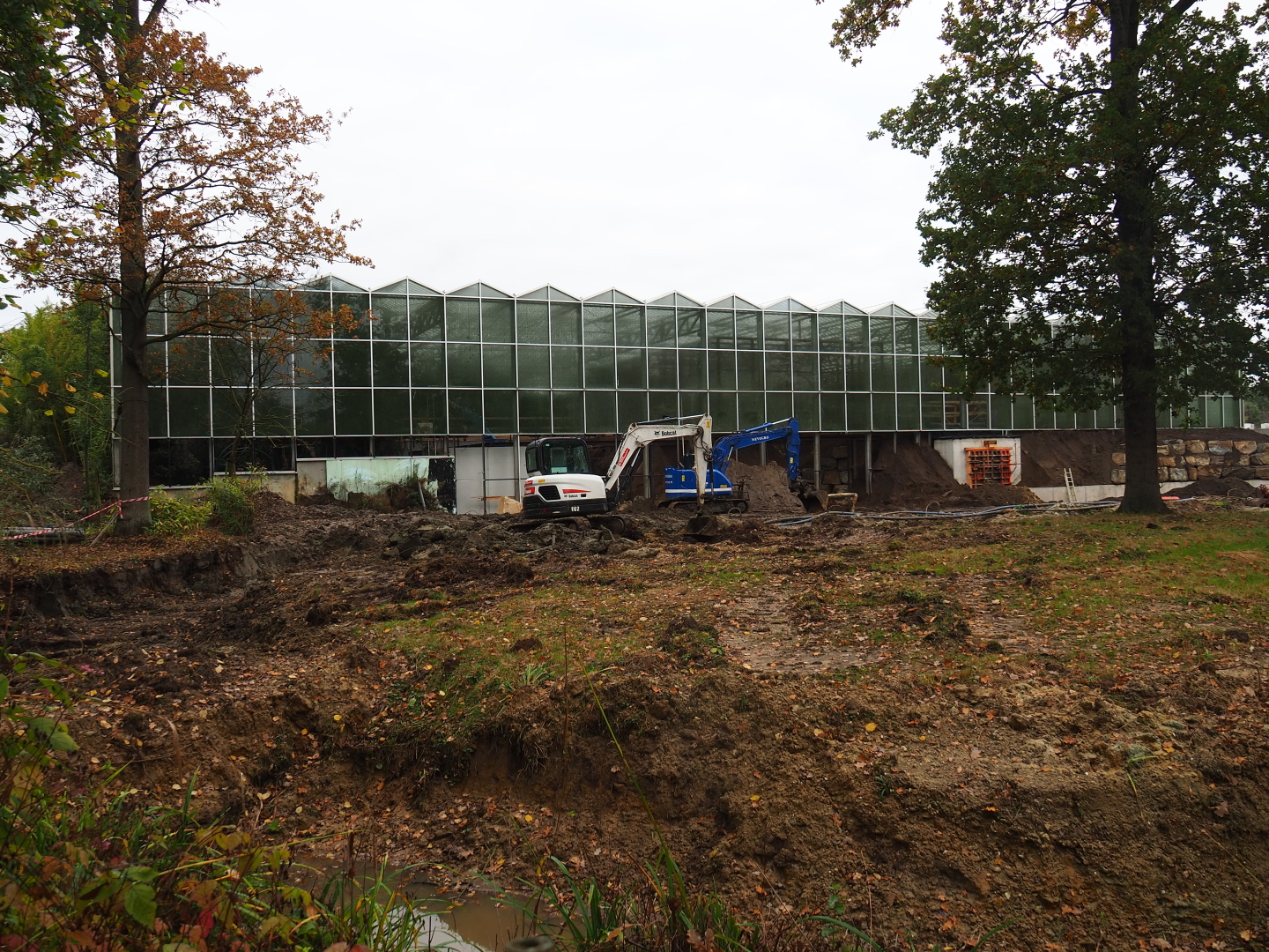 Orangutan project construction site in and around the Asian greenhouse, 2021-11-06