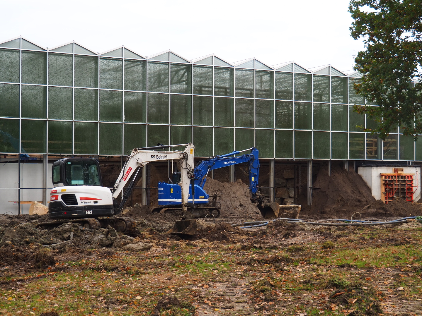 Orangutan project construction site in and around the Asian greenhouse, 2021-11-06