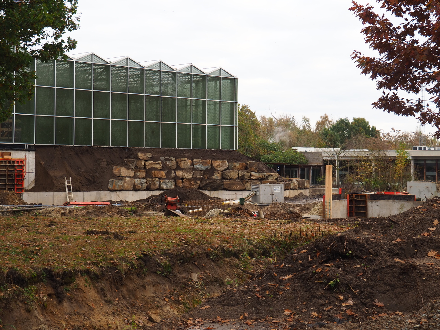 Orangutan project construction site in and around the Asian greenhouse, 2021-11-06