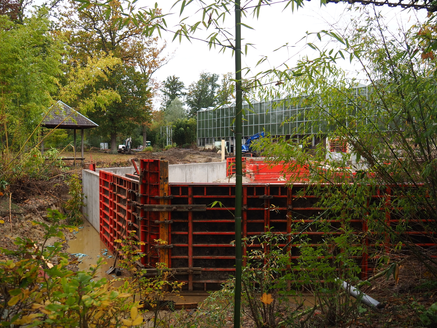 Orangutan project construction site in and around the Asian greenhouse, 2021-11-06
