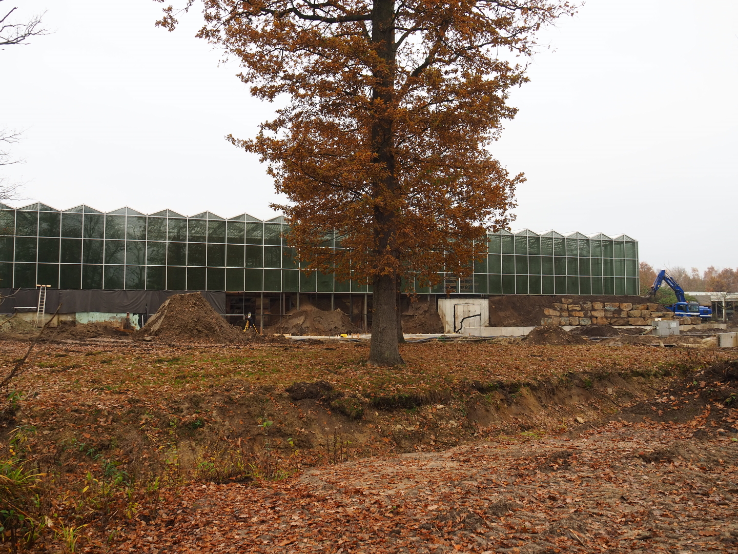 Orangutan project construction site in and around the Asian greenhouse, 2021-11-23