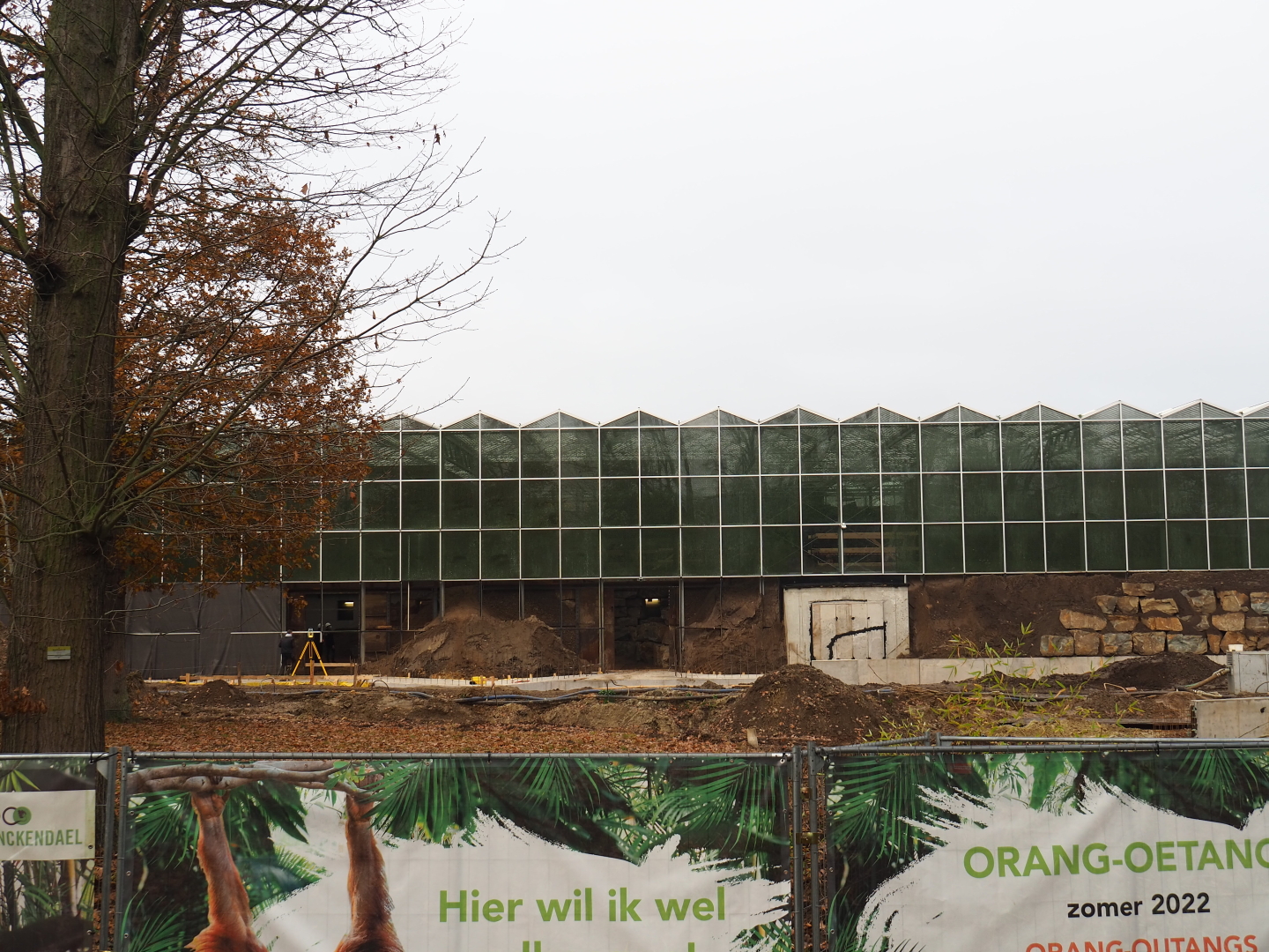 Orangutan project construction site in and around the Asian greenhouse, 2021-11-23
