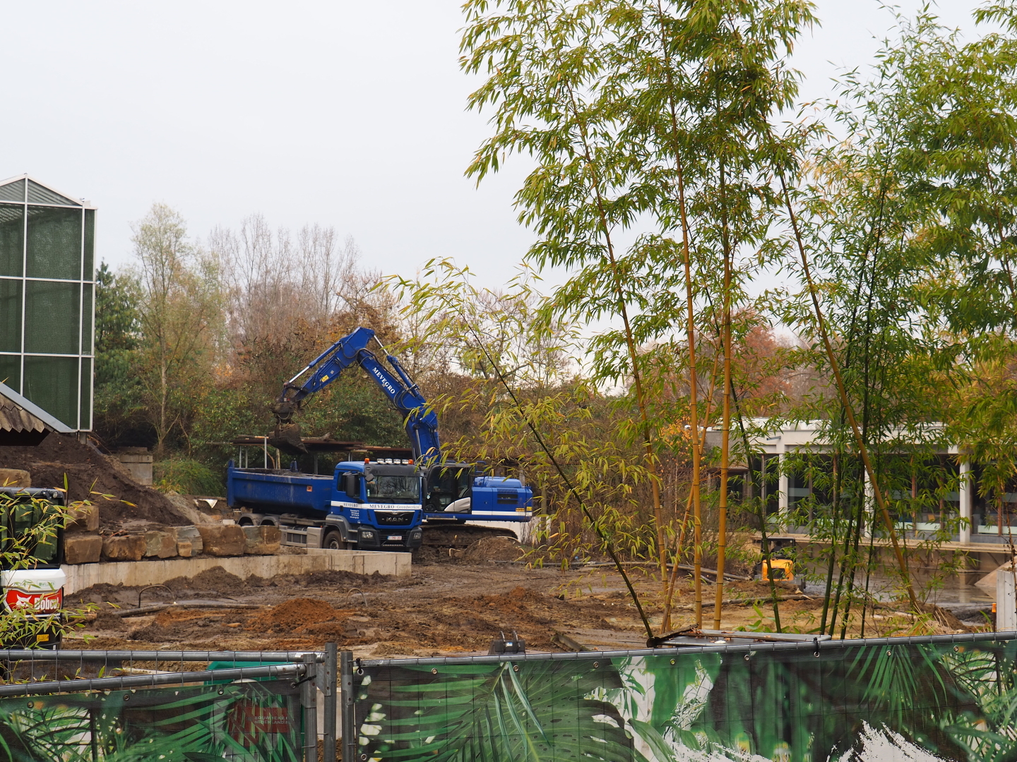 Orangutan project construction site in and around the Asian greenhouse, 2021-11-23