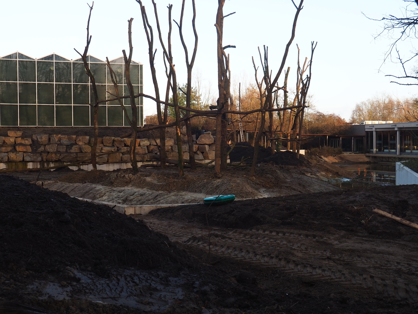 Orangutan project construction site update, 2022-01-30