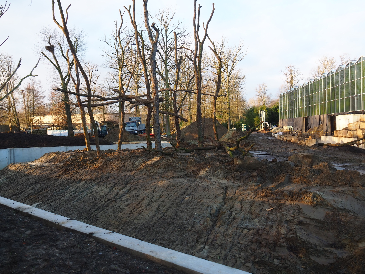 Orangutan project construction site update, 2022-01-30