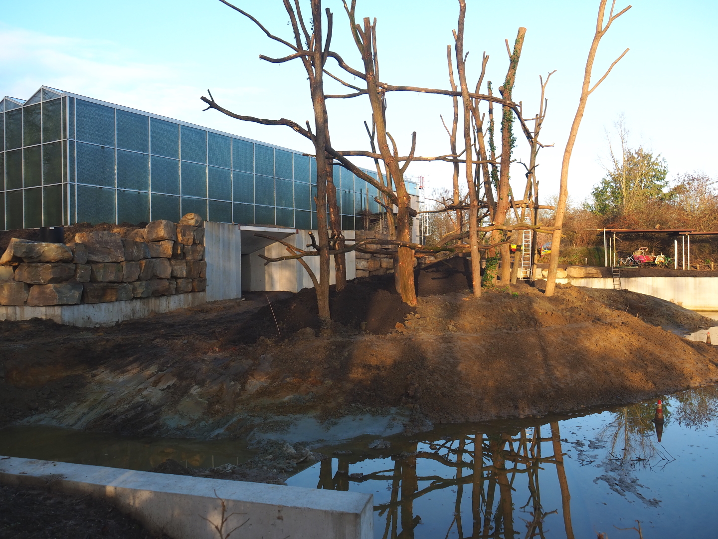 Orangutan project construction site update, 2022-01-30