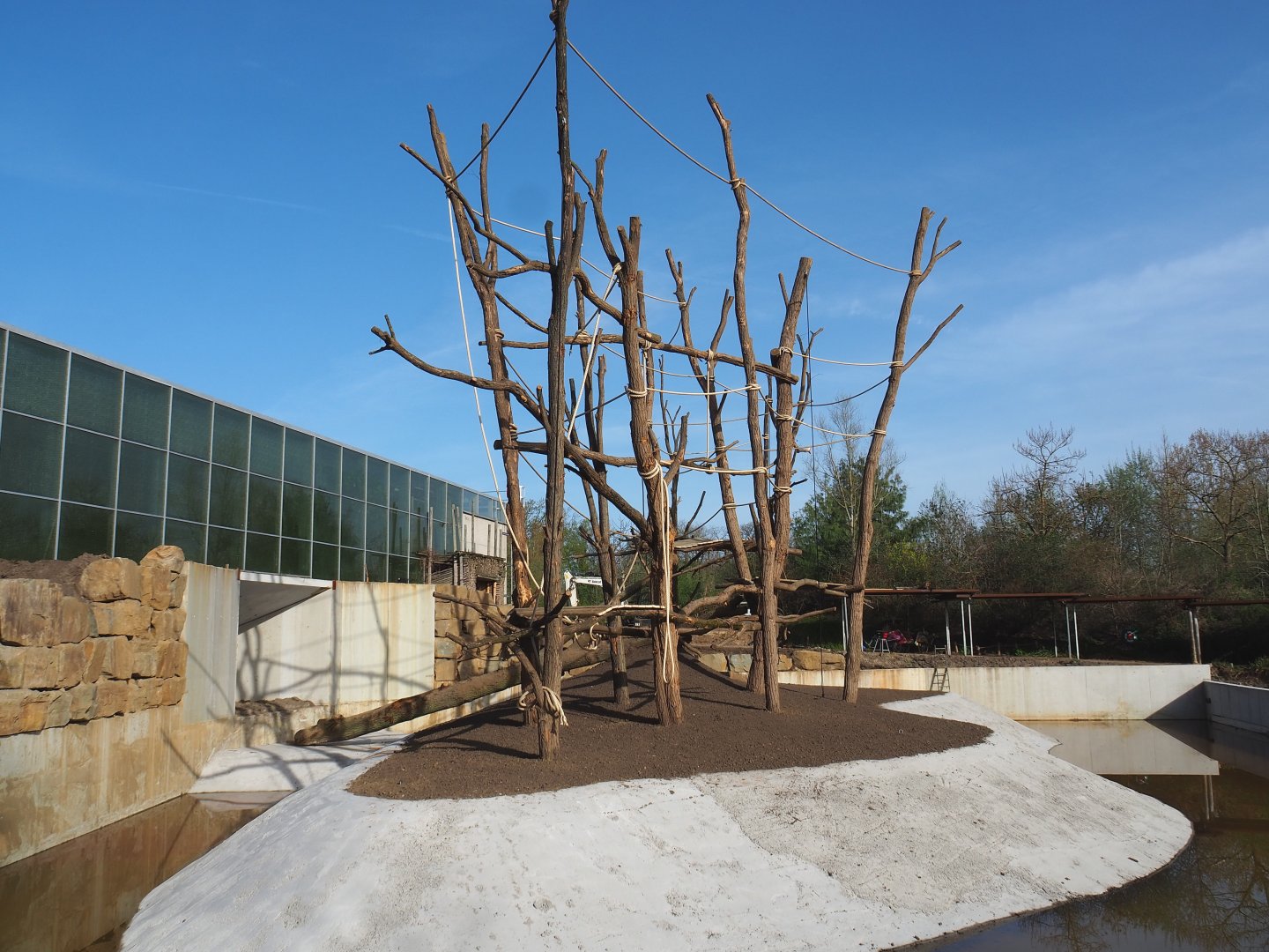 Orangutan project construction update 2022-04-12 - Construction of second large island between greenhouse and restaurant