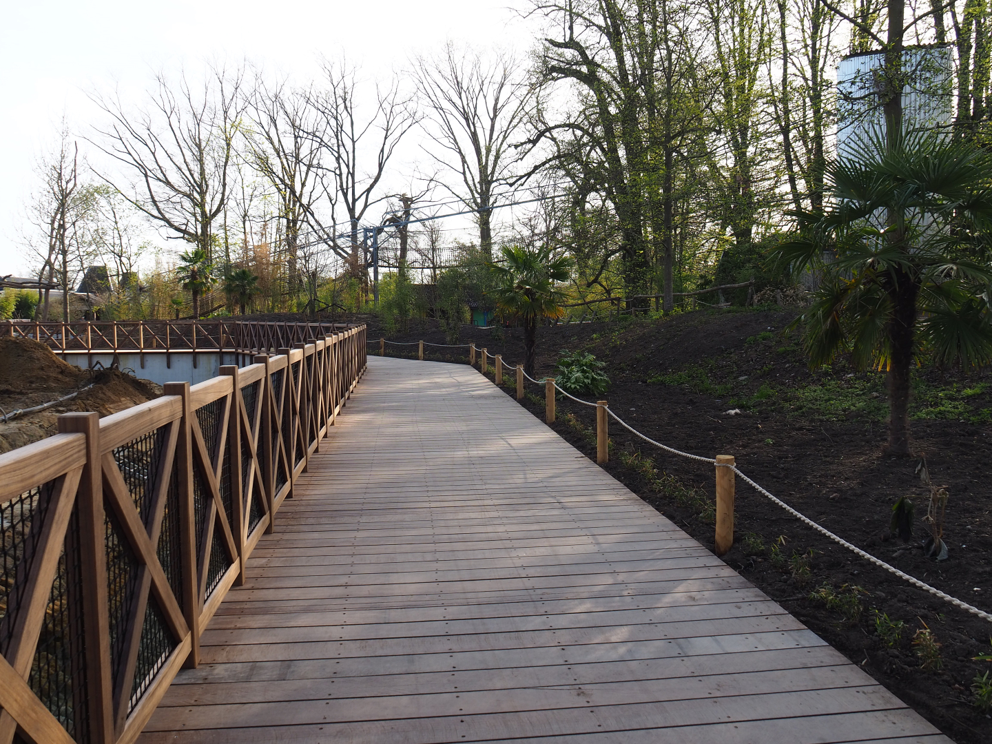 Orangutan project construction update 2022-04-12 - New wooden walkway and visitor area